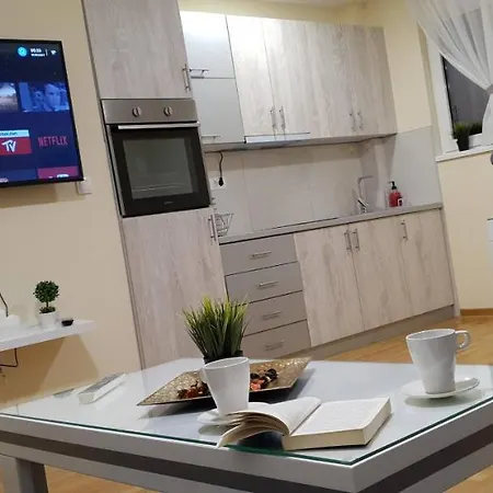 Apartment Skynet *